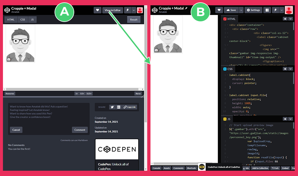 Codepen: (A) Details view; (B) Editor view