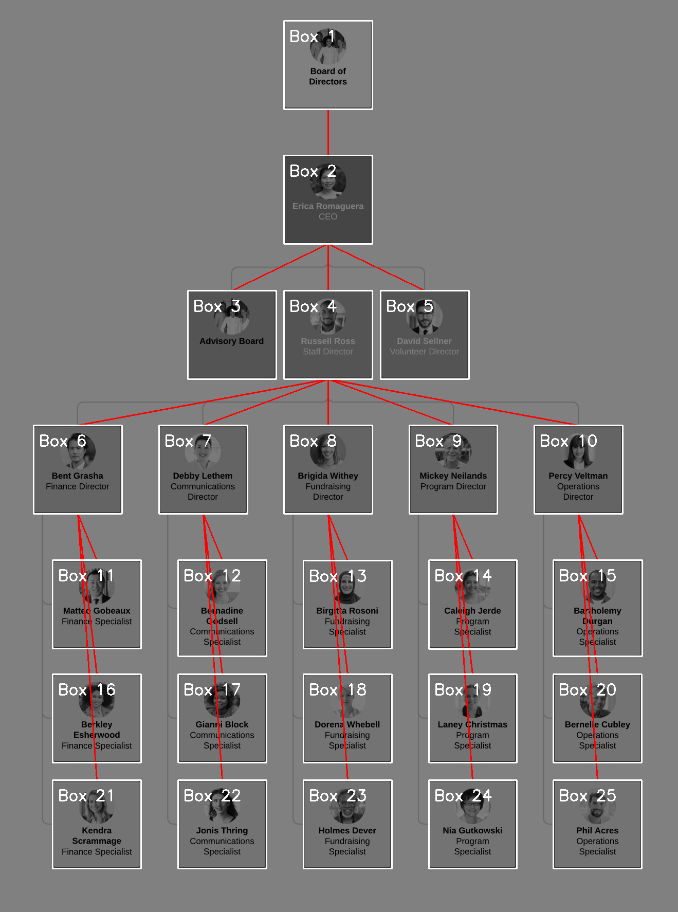 visualization of results