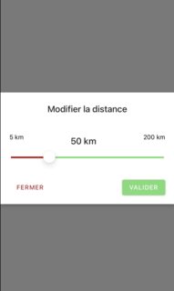 Modal visible (Ios)