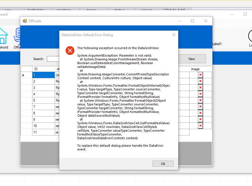 DataGridView error