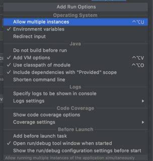 Options in Run Configuration IntelliJ