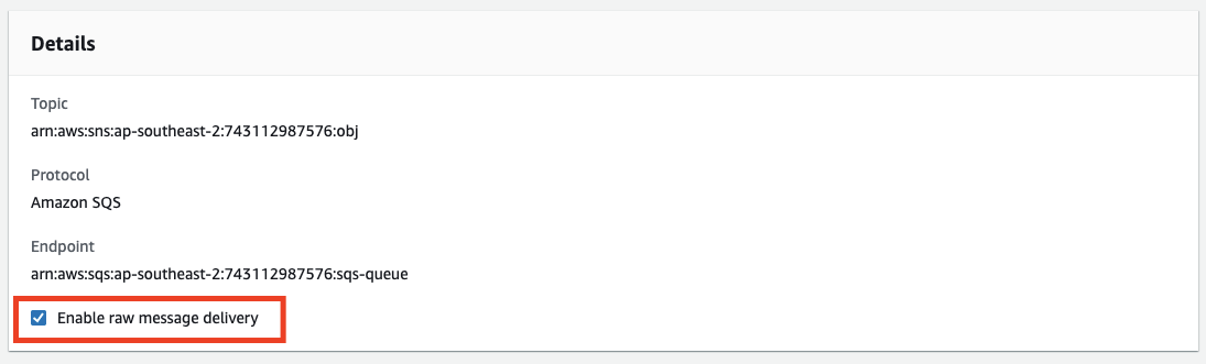 Amazon SNS Raw Message Delivery
