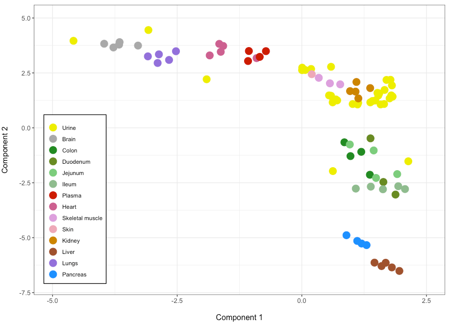 UMAP plot