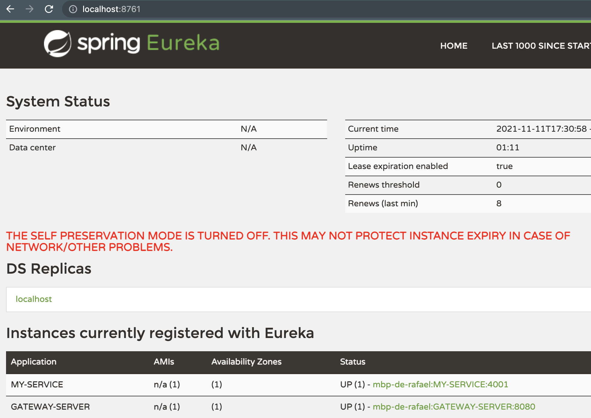 Eureka Server