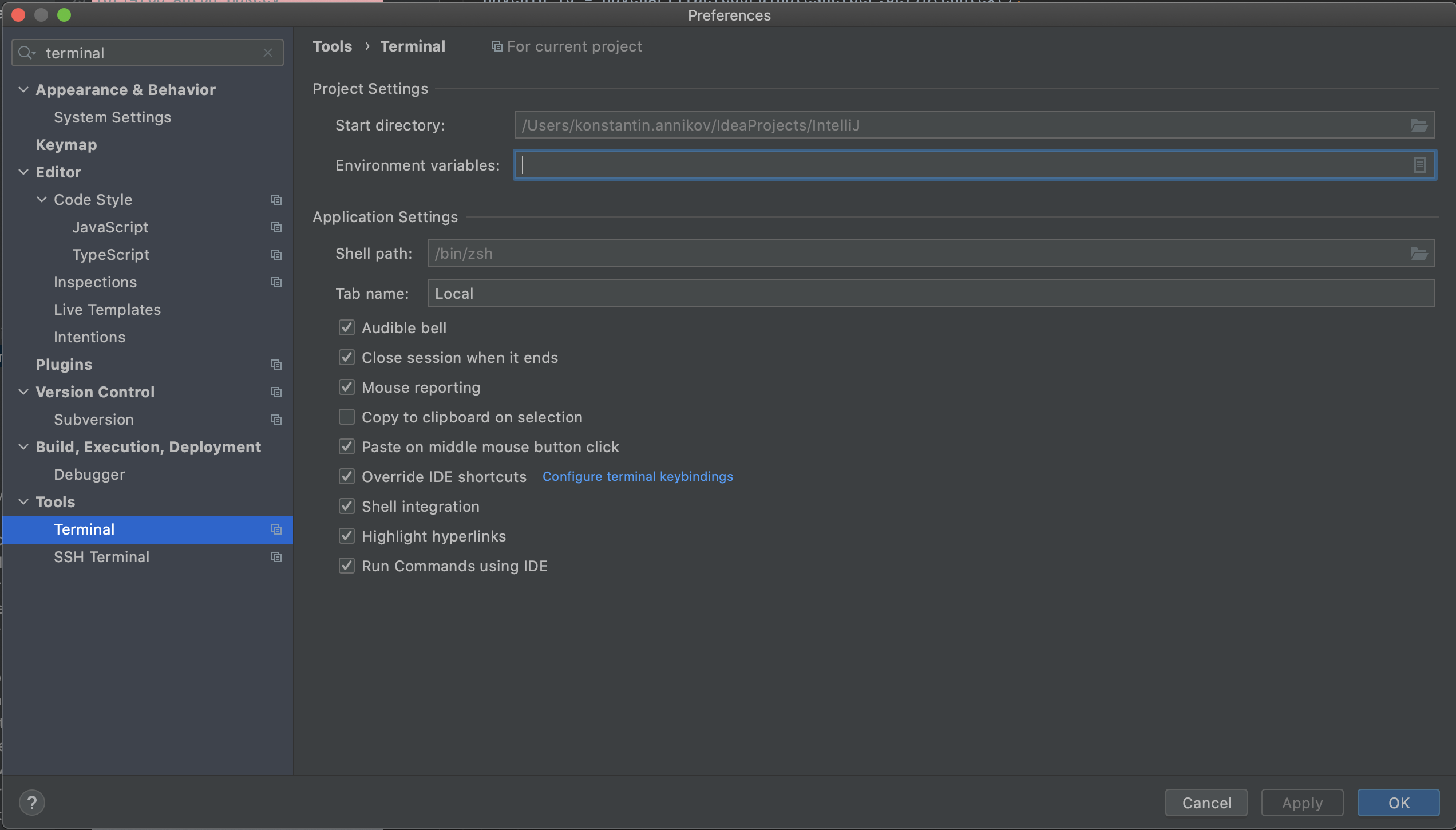 IntelliJ IDEA terminal settings