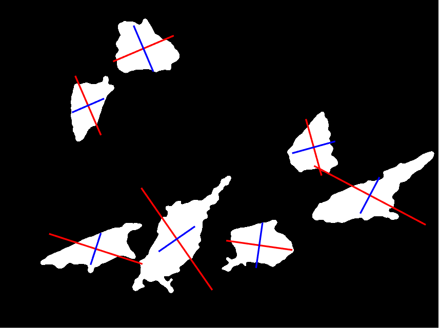 Major and Minor Axes