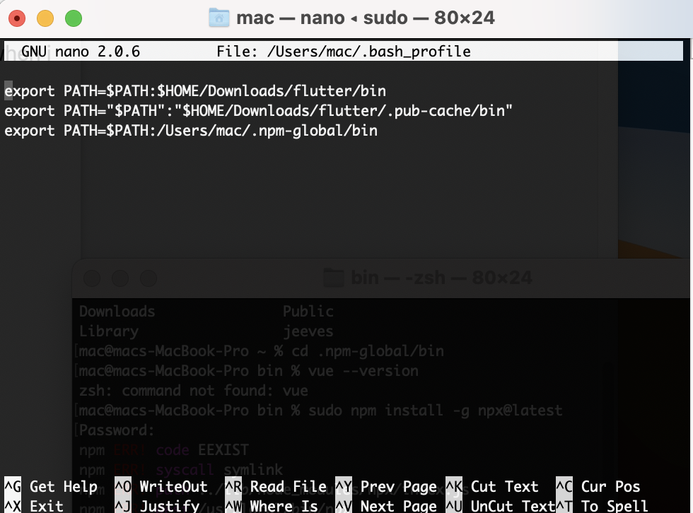 screenshot of terminal