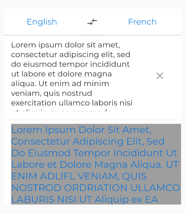 Translator Widget