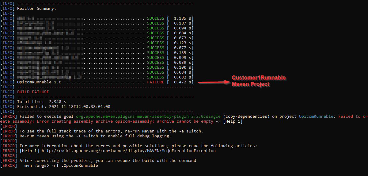 Windows CMD output of Customer1Runnable maven project