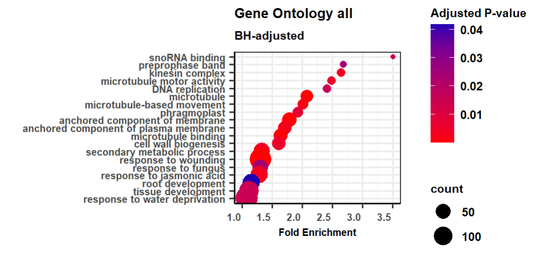 Gene ontology plot