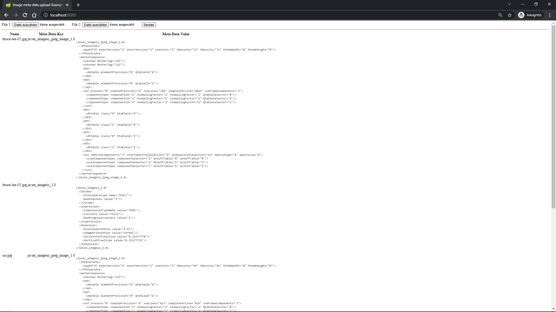 screenshot of: file upload displaying image meta data using javax.imageio