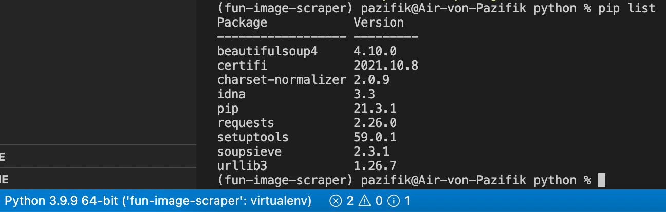 Interpreter and list of packages in virtual env