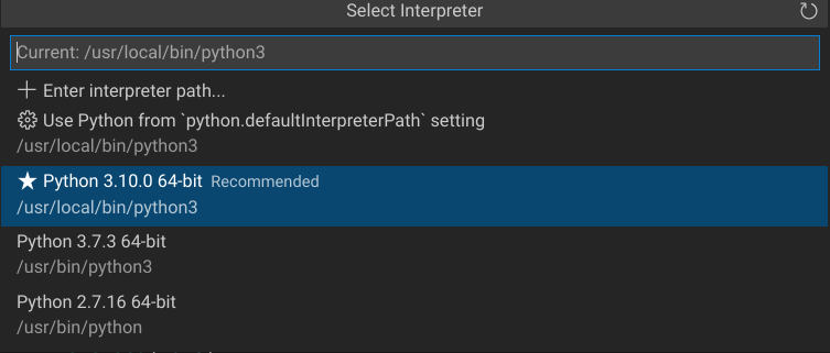 Selected Python interpreter