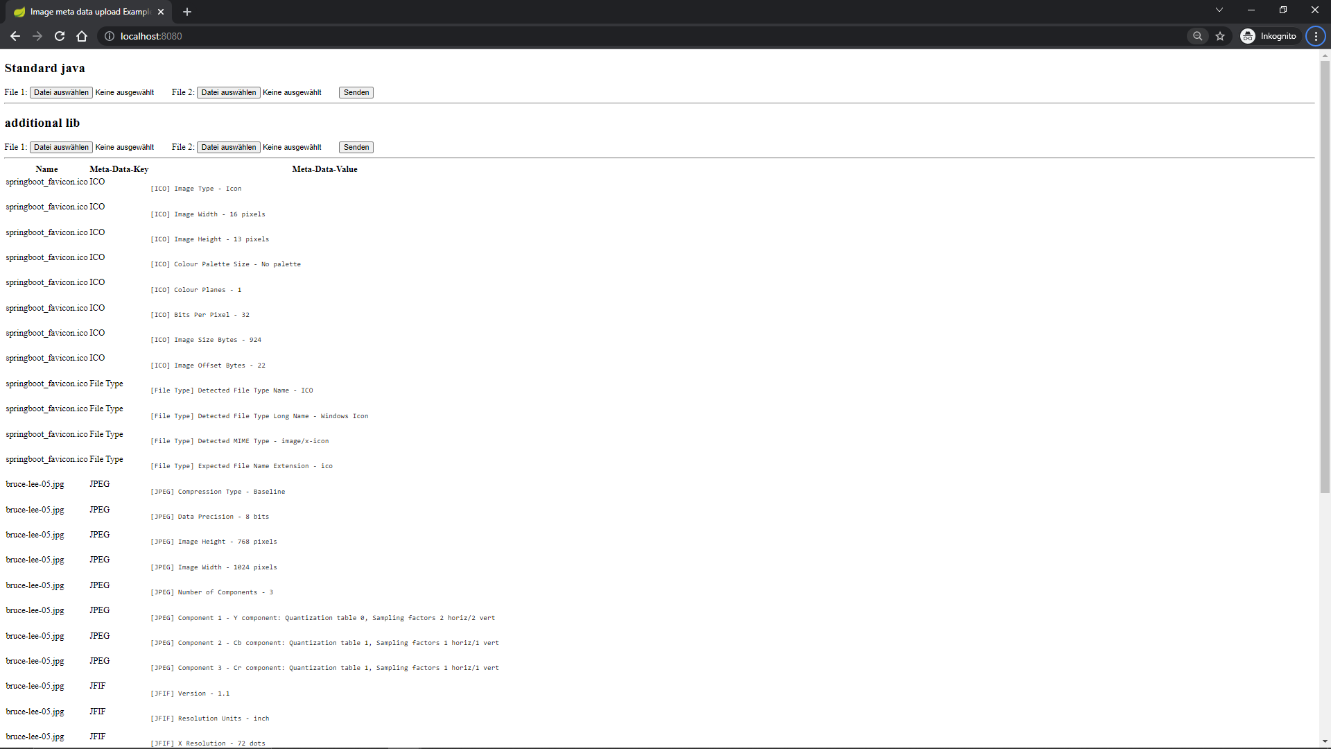 screenshot of: file upload displaying image meta data using com.drewnoakes:metadata-extractor