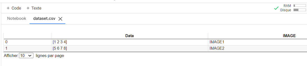 csv file