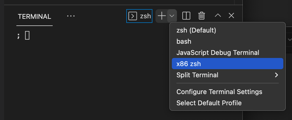 new Terminal pull-down menu with x86 zsh item highlighted