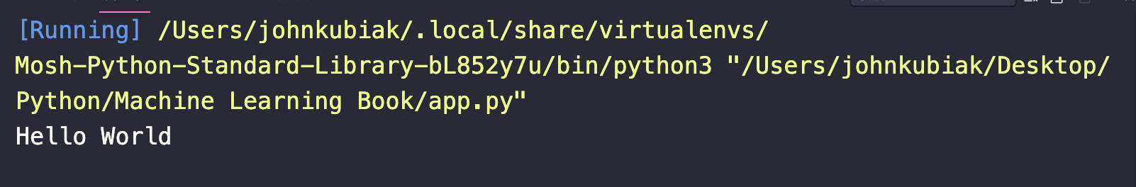 This what is shown in my output window in VS Code