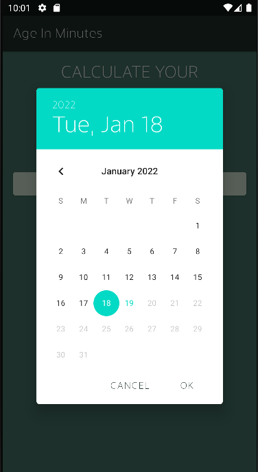 Date Picker