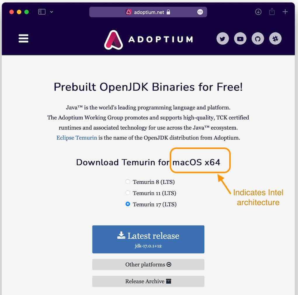 Screenshot of Adoptium download page