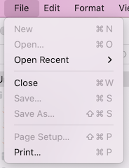 swiftui print menu item