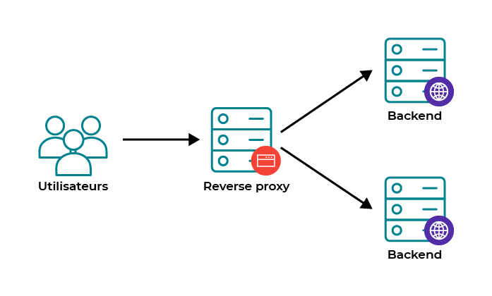 reverse proxy graphic representation