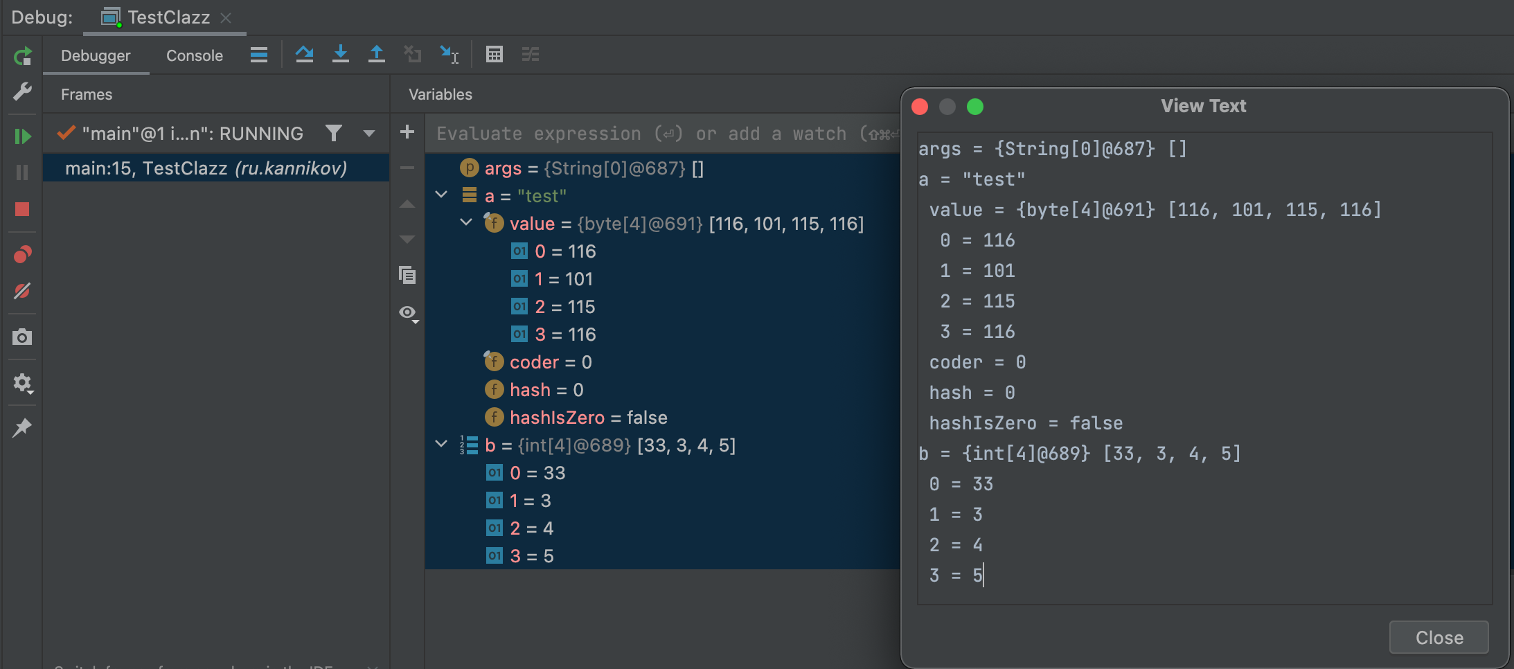 View text debugger IntelliJ IDEA
