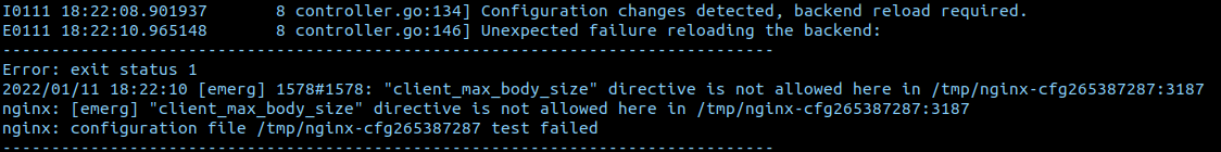 "client_max_body_size" directive is not allowed here in /tmp/nginx-cfg857596568:3187