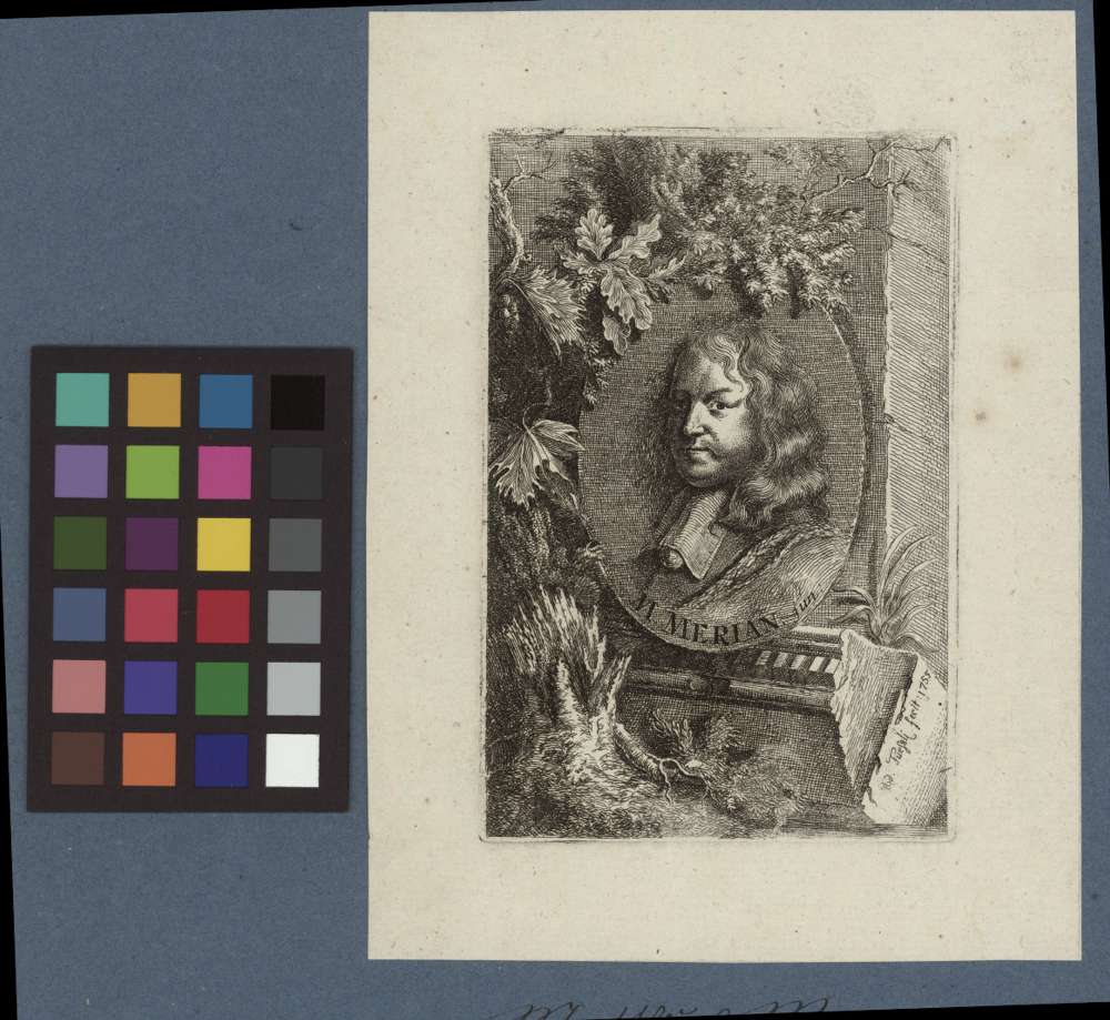 Sample image 2