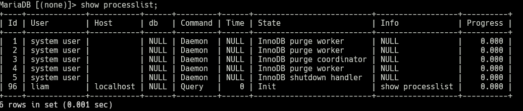 show processlist