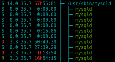 htop output