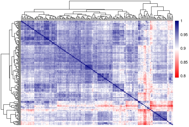 correlation heatmap