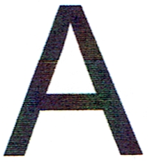 input image