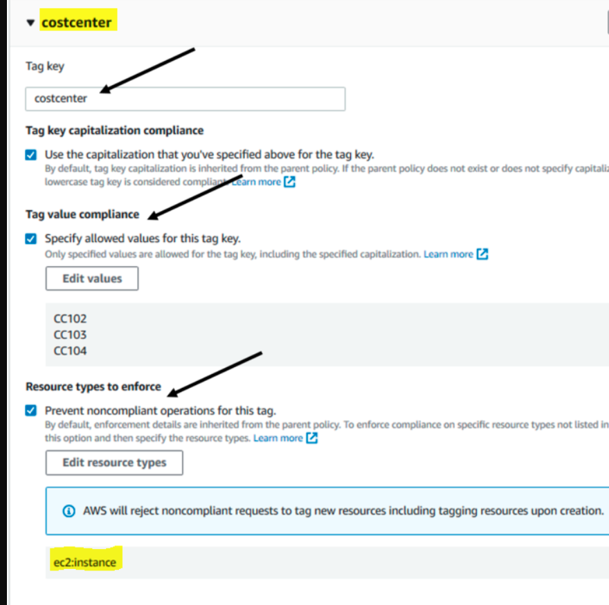 Example Tag Policy