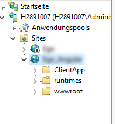 IIS