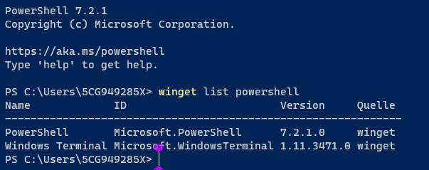 Powershell 7.2.1