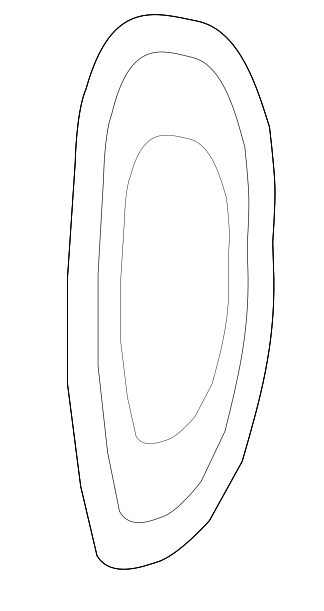 otolith_illustration.png