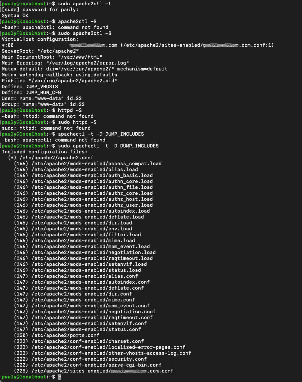 This is output from diagnostic commands