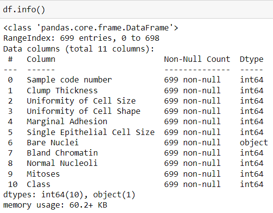 dataframe info