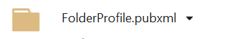 FolderProfile.pubxml