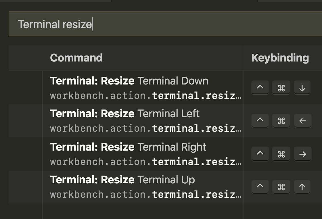 Resize terminal shortcuts