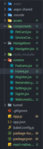 Directory Structure for project