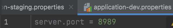 application-dev.properties content