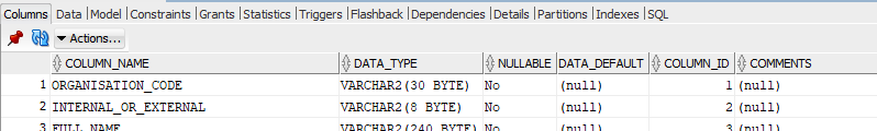 Screenshot of Data Dictionary fields in Oracle SQL Developer