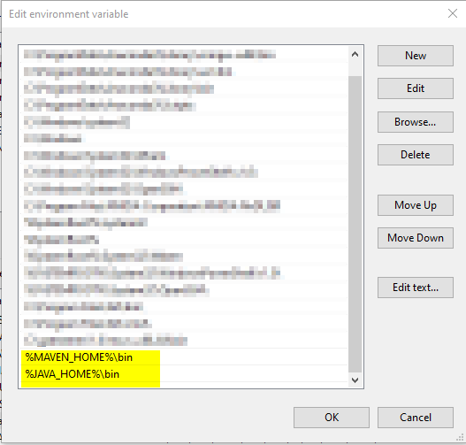 Shows current system environment path variables set up