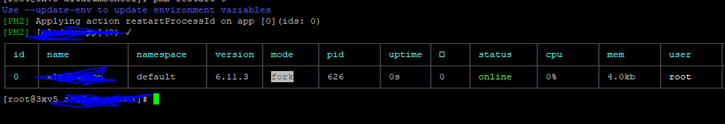 pm2 server