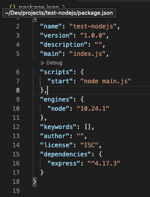 package.json