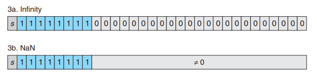 bit pattern of Infinity and NaN