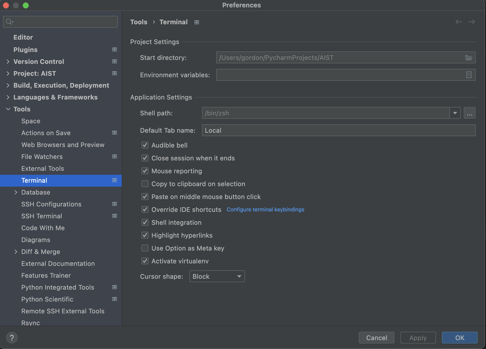 setting page of PyCharm Terminal