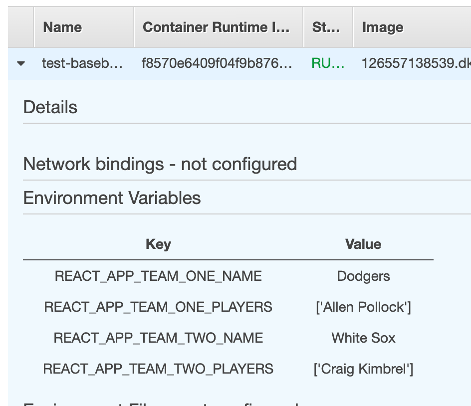 Environment Variables on container