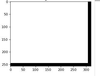 OutputImage from code